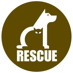 Cat Adoption Center logo. Logo design by randyheil